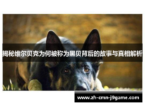 揭秘维尔贝克为何被称为黑贝背后的故事与真相解析 揭秘维尔贝克为何被称为黑贝背后的故事与真相解析