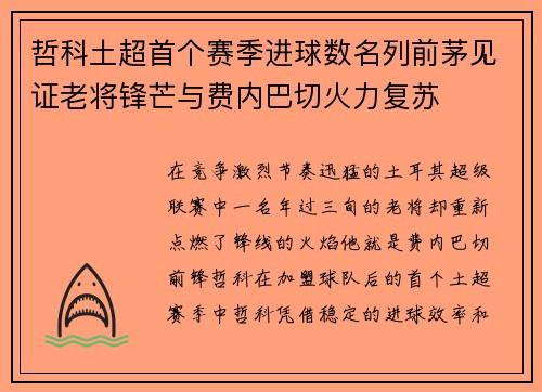 哲科土超首个赛季进球数名列前茅见证老将锋芒与费内巴切火力复苏